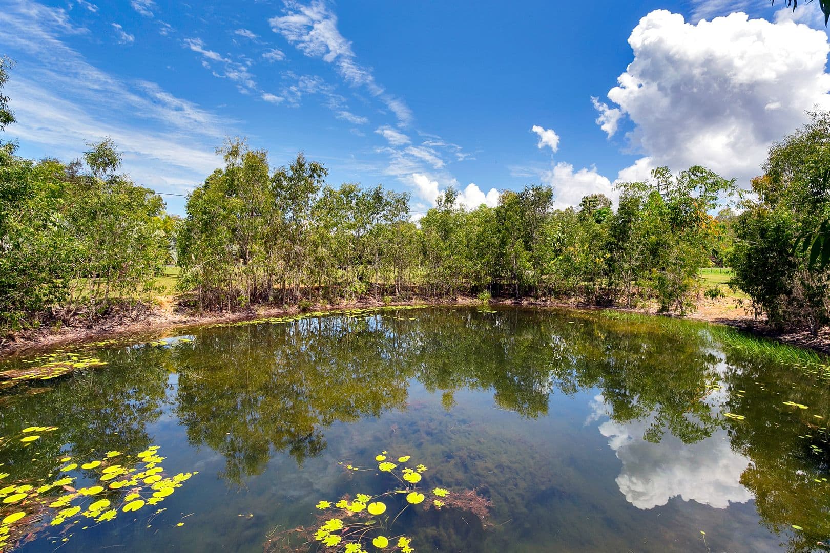 34 Cardinia Boulevard, Speewah QLD 4881, Speewah - Thumbnail 3