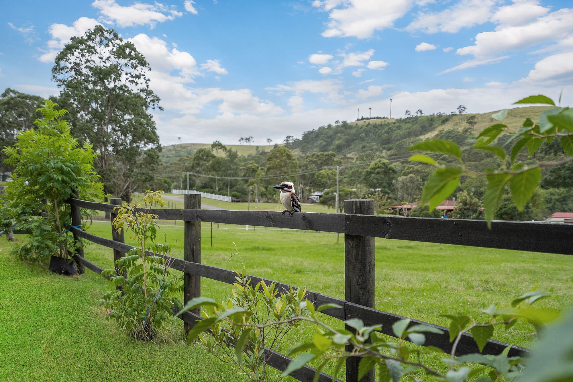 43 Erringhi Street, Clarence Town NSW 2321, Clarence Town - Thumbnail 4