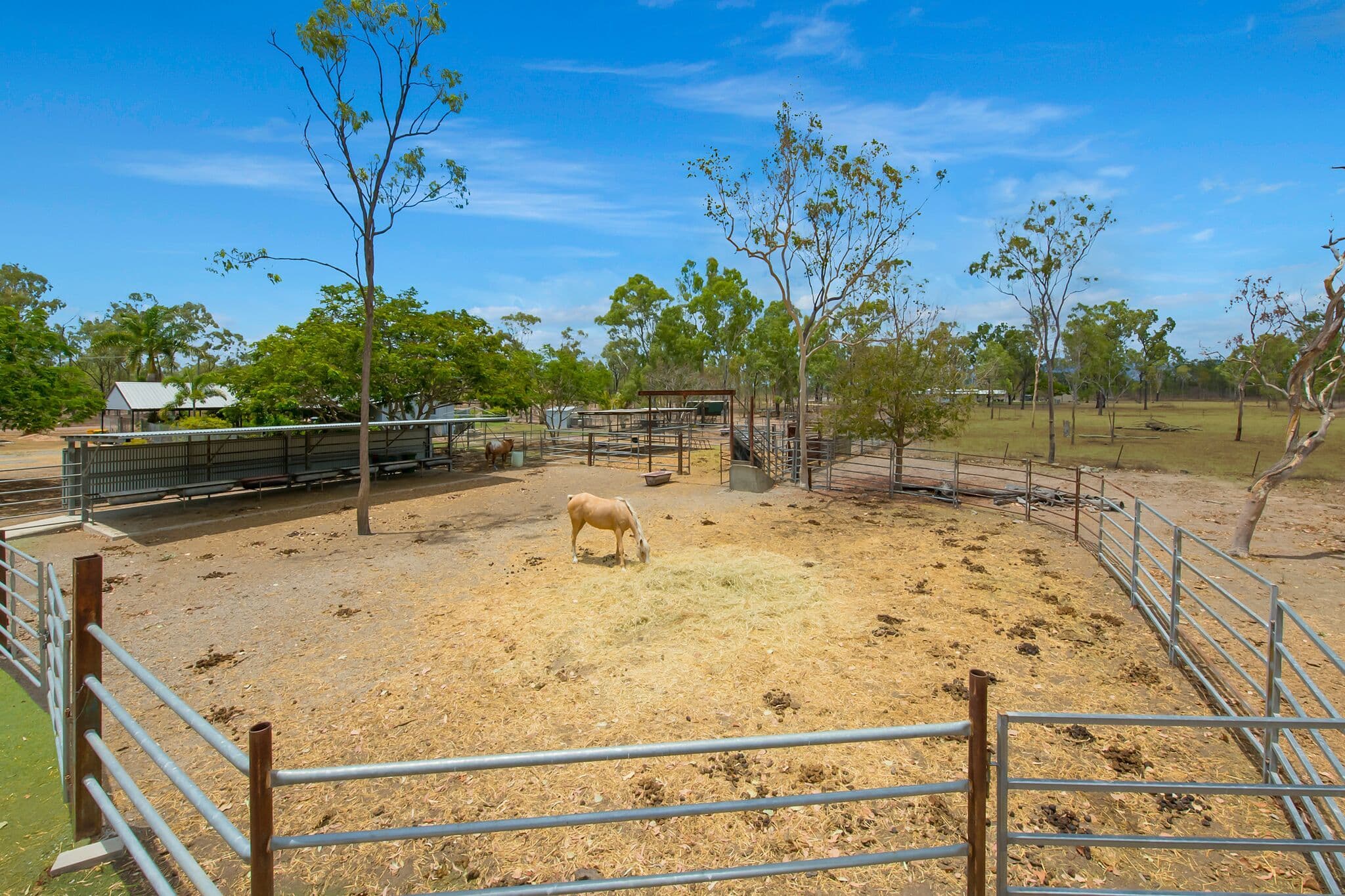 135 Haynes Road, Jensen QLD 4818, Jensen - Thumbnail 4