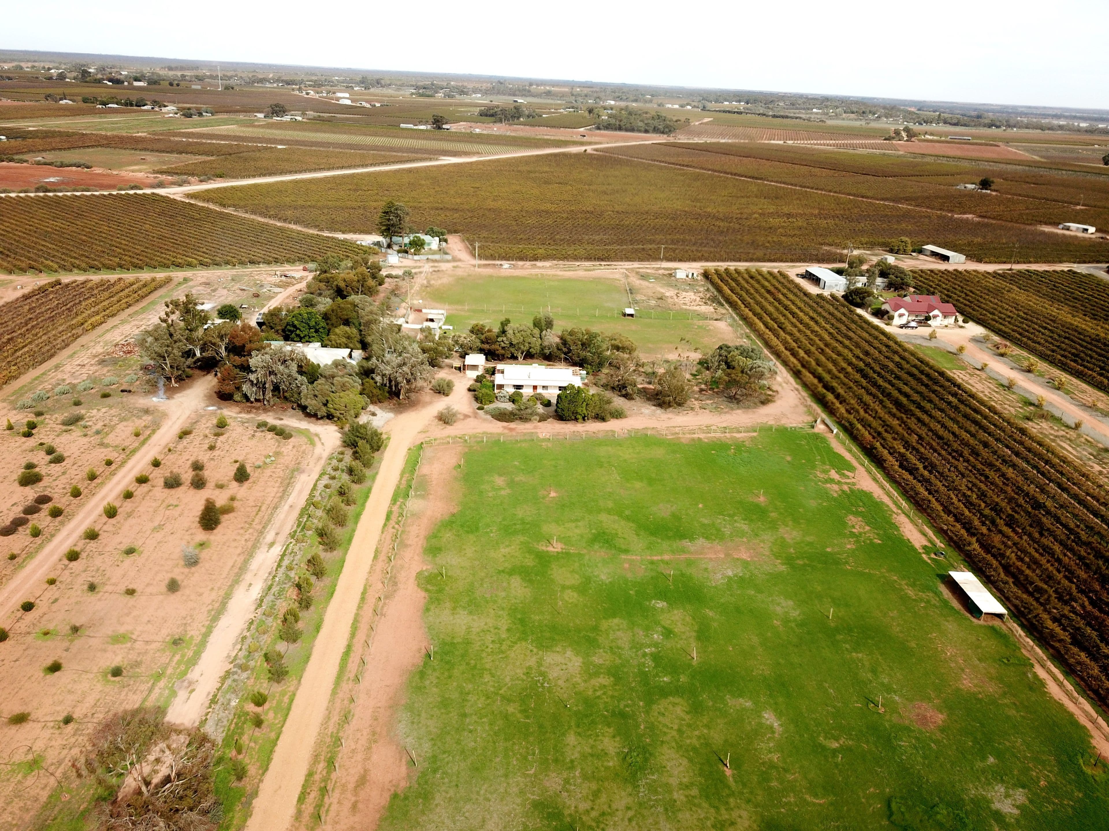 267 Gaskell Road, Barmera SA 5345, Barmera - Thumbnail 2