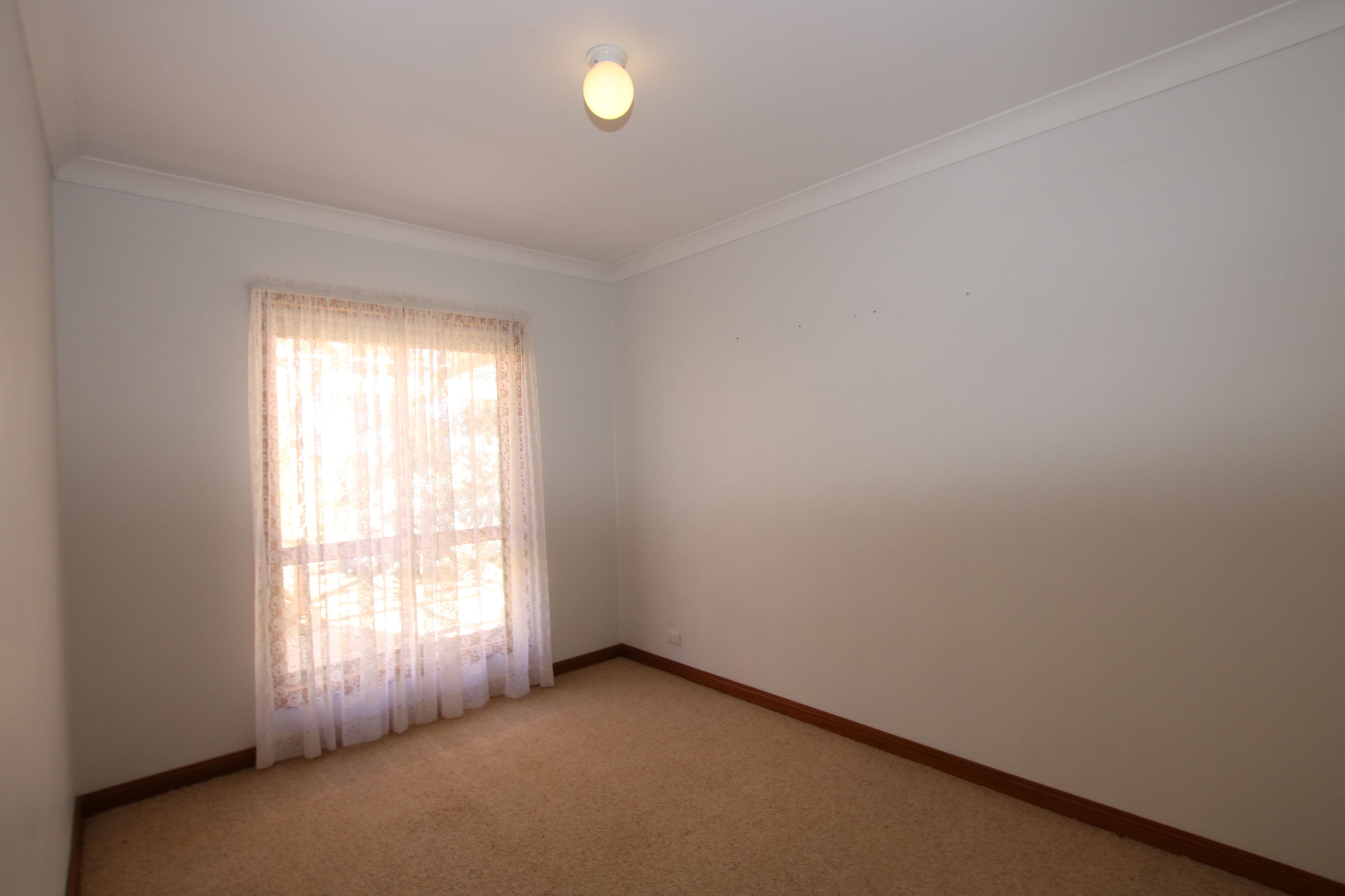 267 Gaskell Road, Barmera SA 5345, Barmera - Thumbnail 8