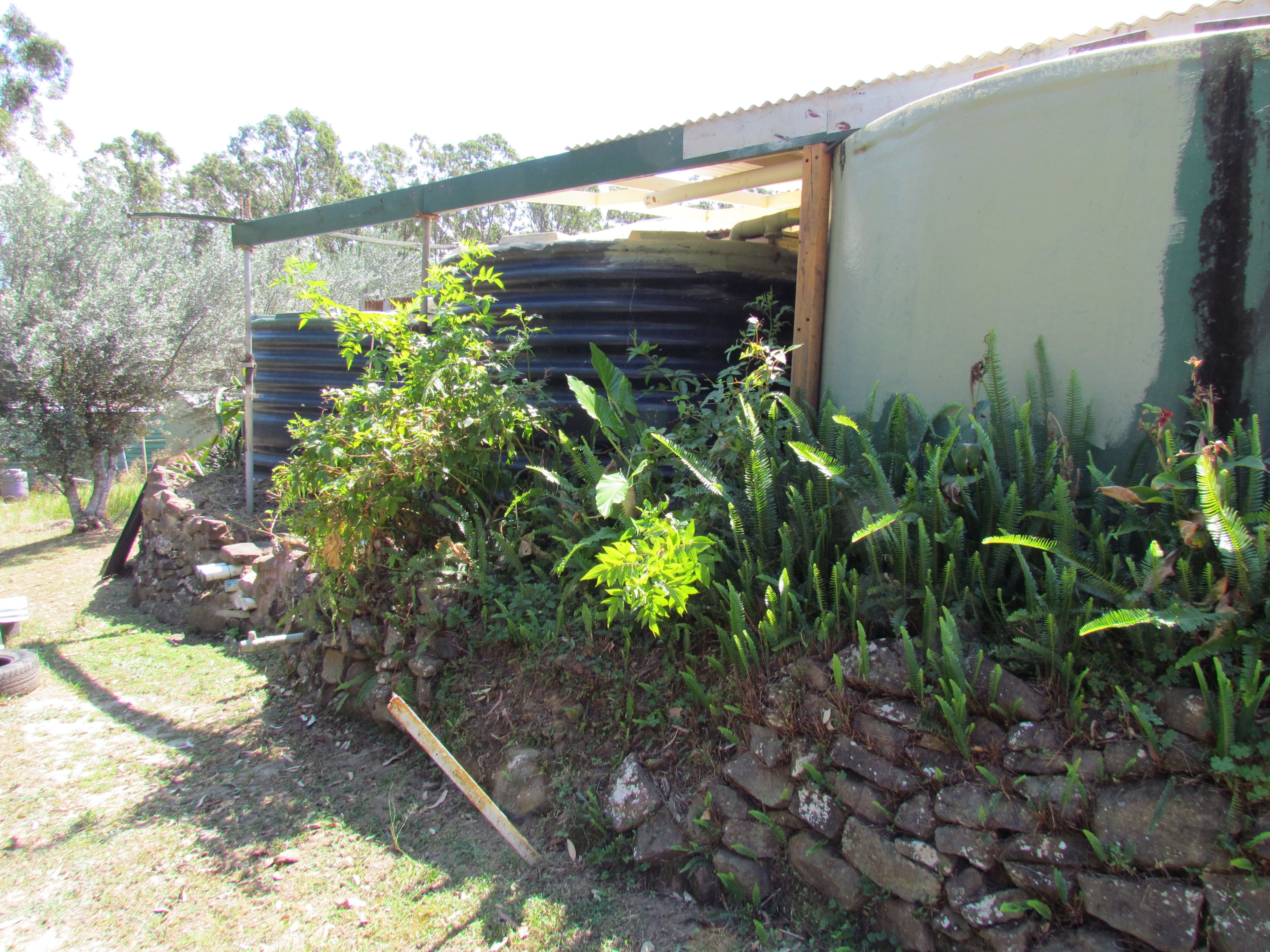 8510 Redgate Road, New Italy - Thumbnail 7