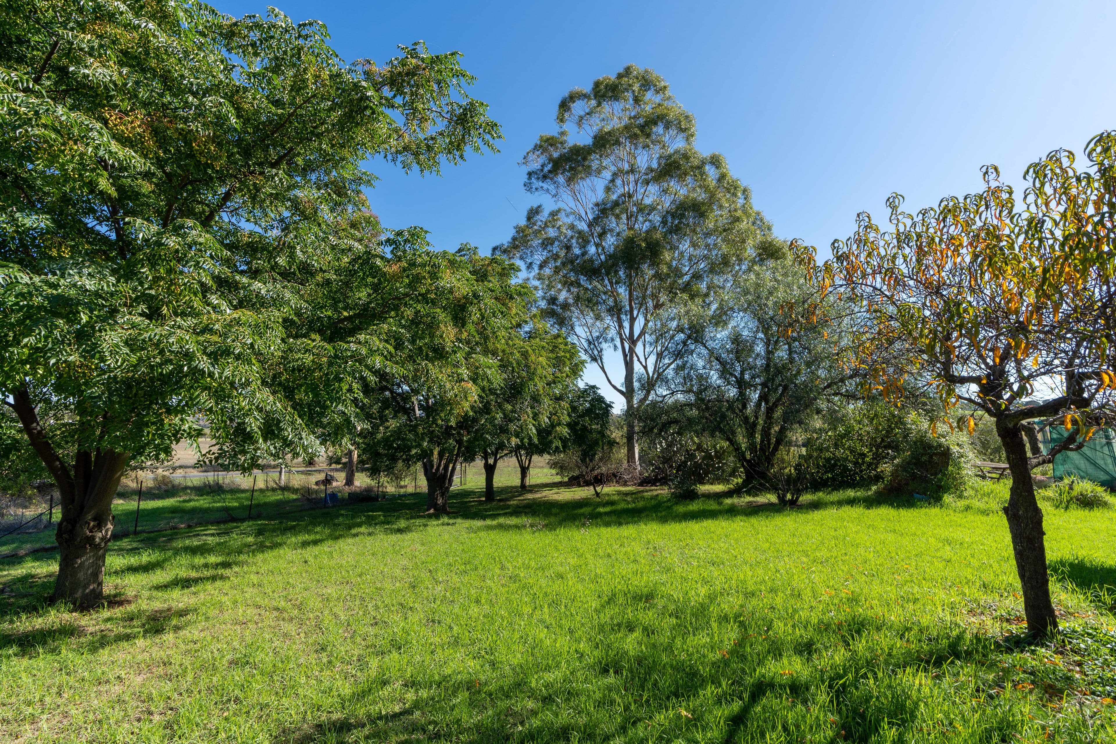 'Valley View' 198 Quarry Road (Moorbel), Canowindra NSW 2804, Canowindra - Thumbnail 2