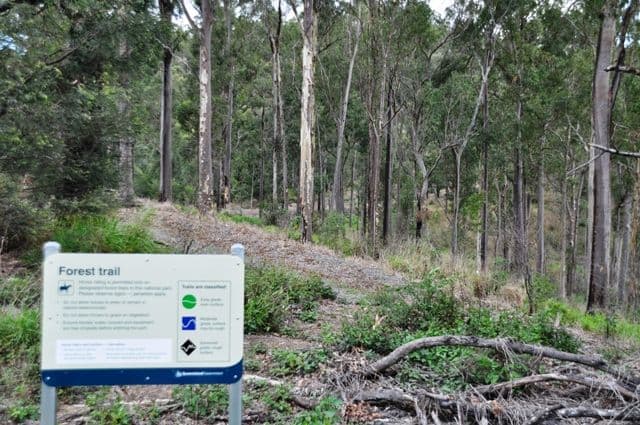 79 Stonehawke Place, THE GAP QLD 4061, The Gap - Thumbnail 6