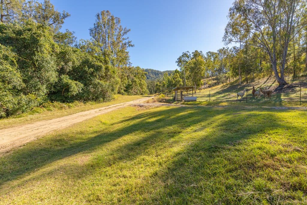 301 Cedarvale Road, Sandy Creek QLD 4515, Sandy Creek - Thumbnail 3