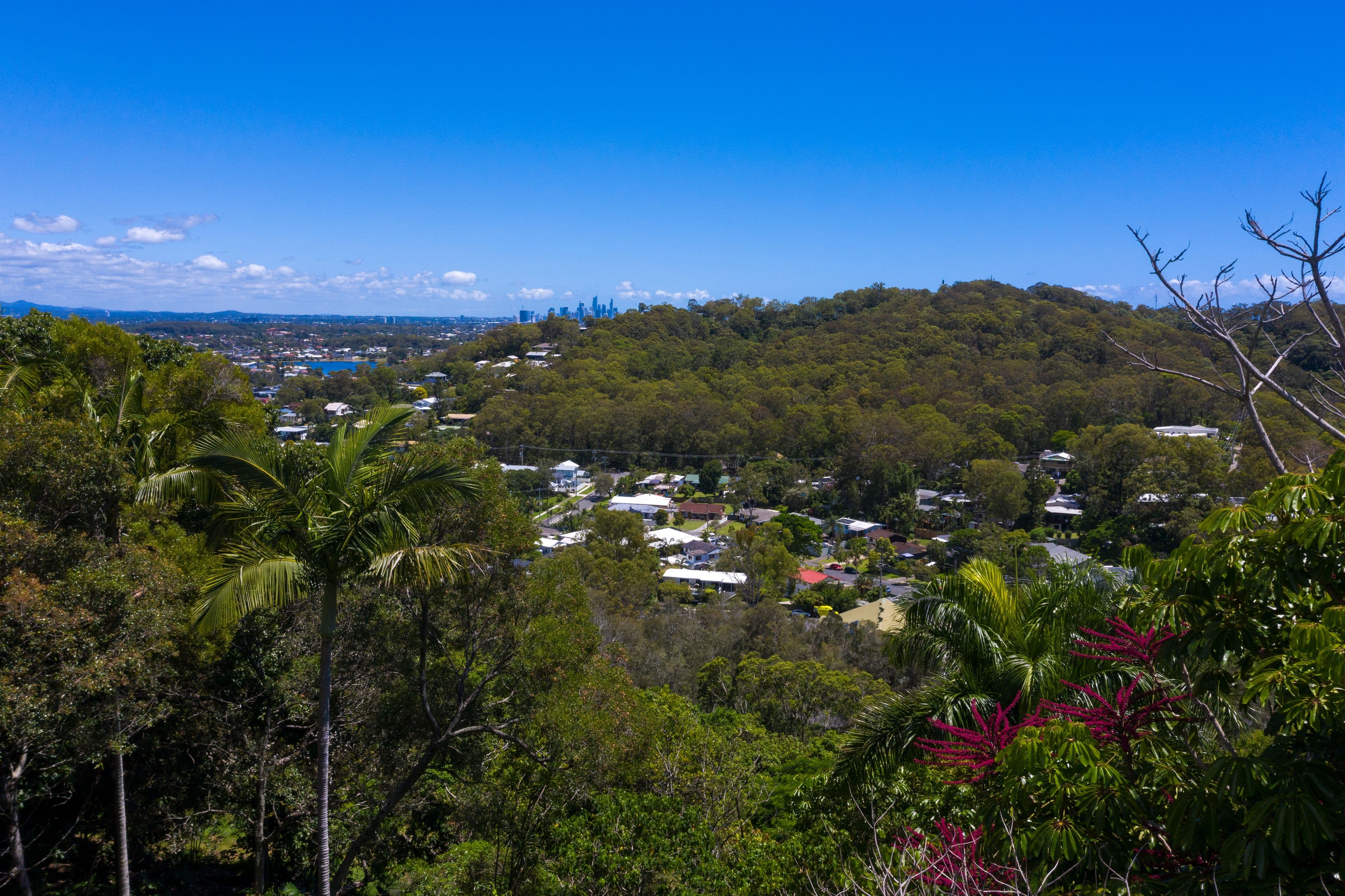 19 Vantage Point Drive, Burleigh Heads QLD 4220, Burleigh Heads - Thumbnail 5