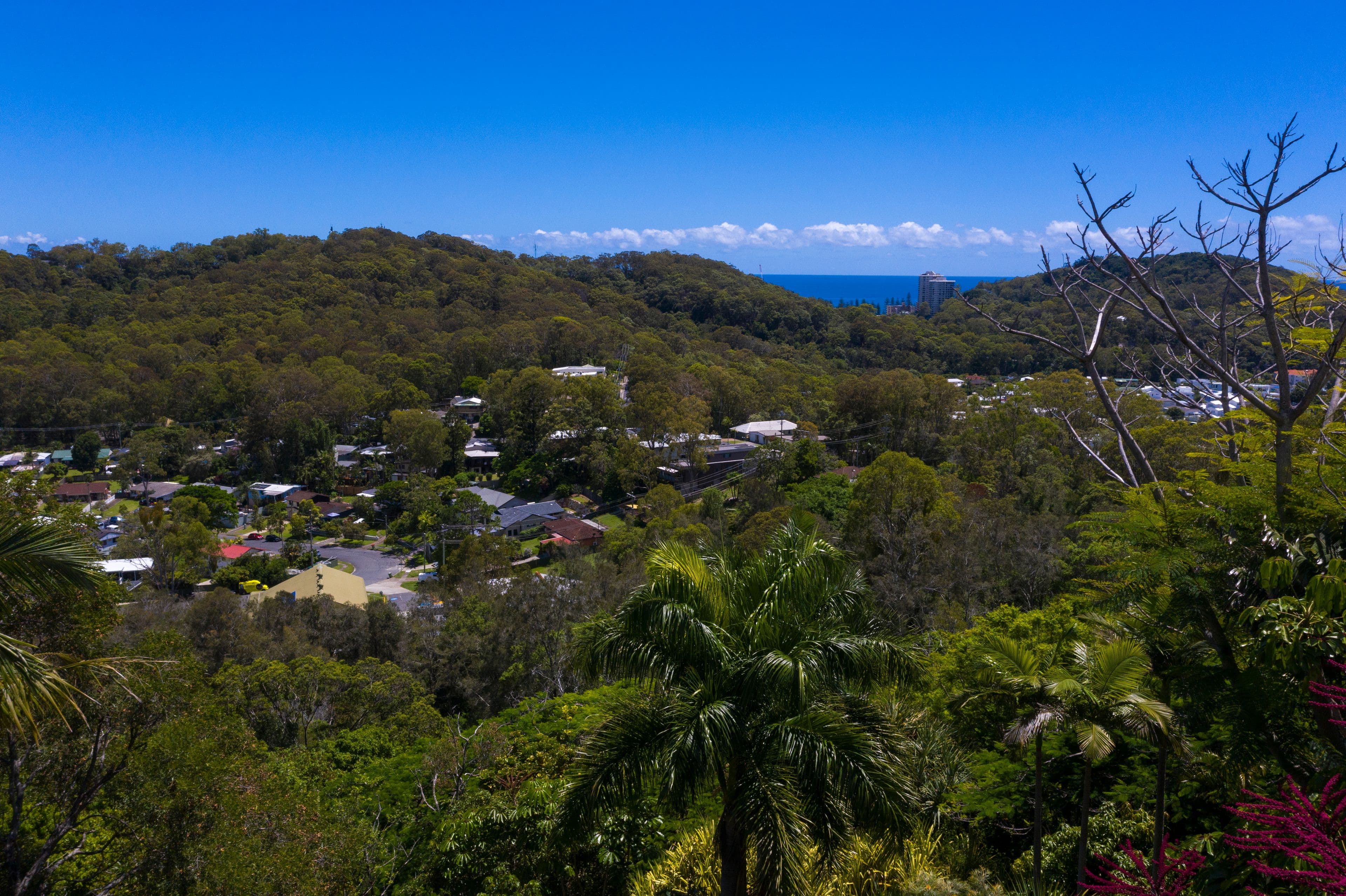 19 Vantage Point Drive, Burleigh Heads QLD 4220, Burleigh Heads - Thumbnail 7