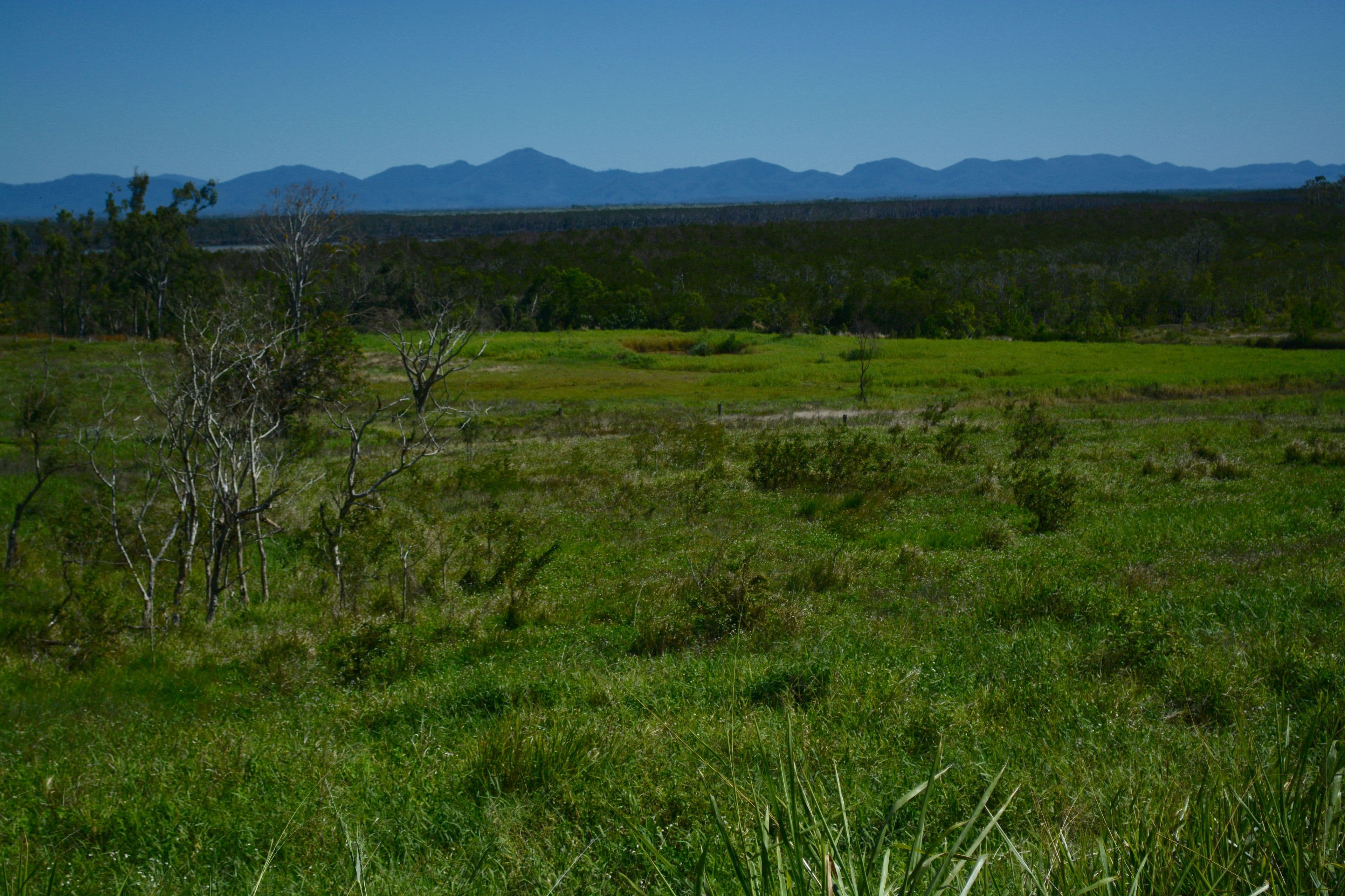1590 Conway Road, Conway QLD 4800, Conway - Thumbnail 2