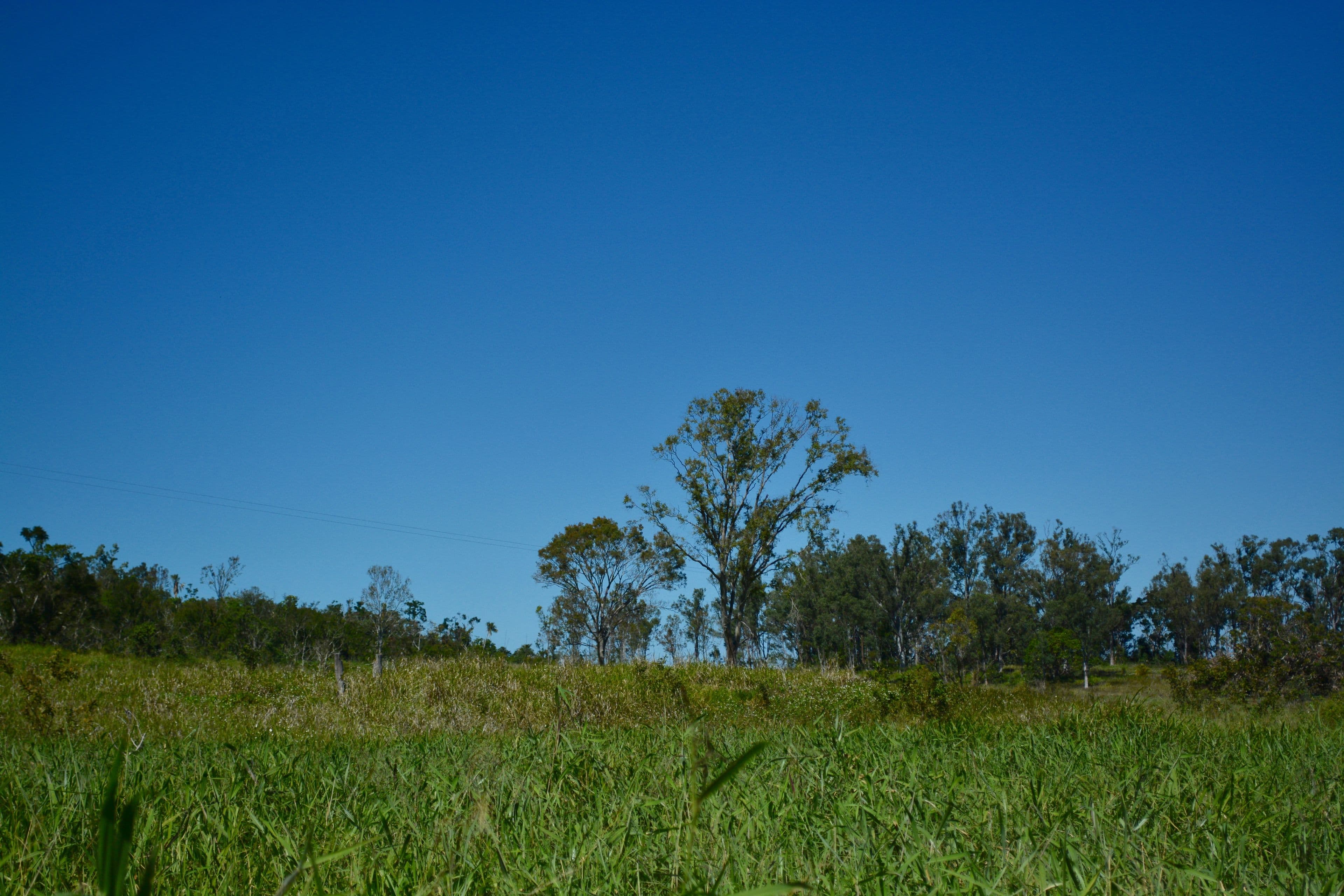 1590 Conway Road, Conway QLD 4800, Conway - Thumbnail 3