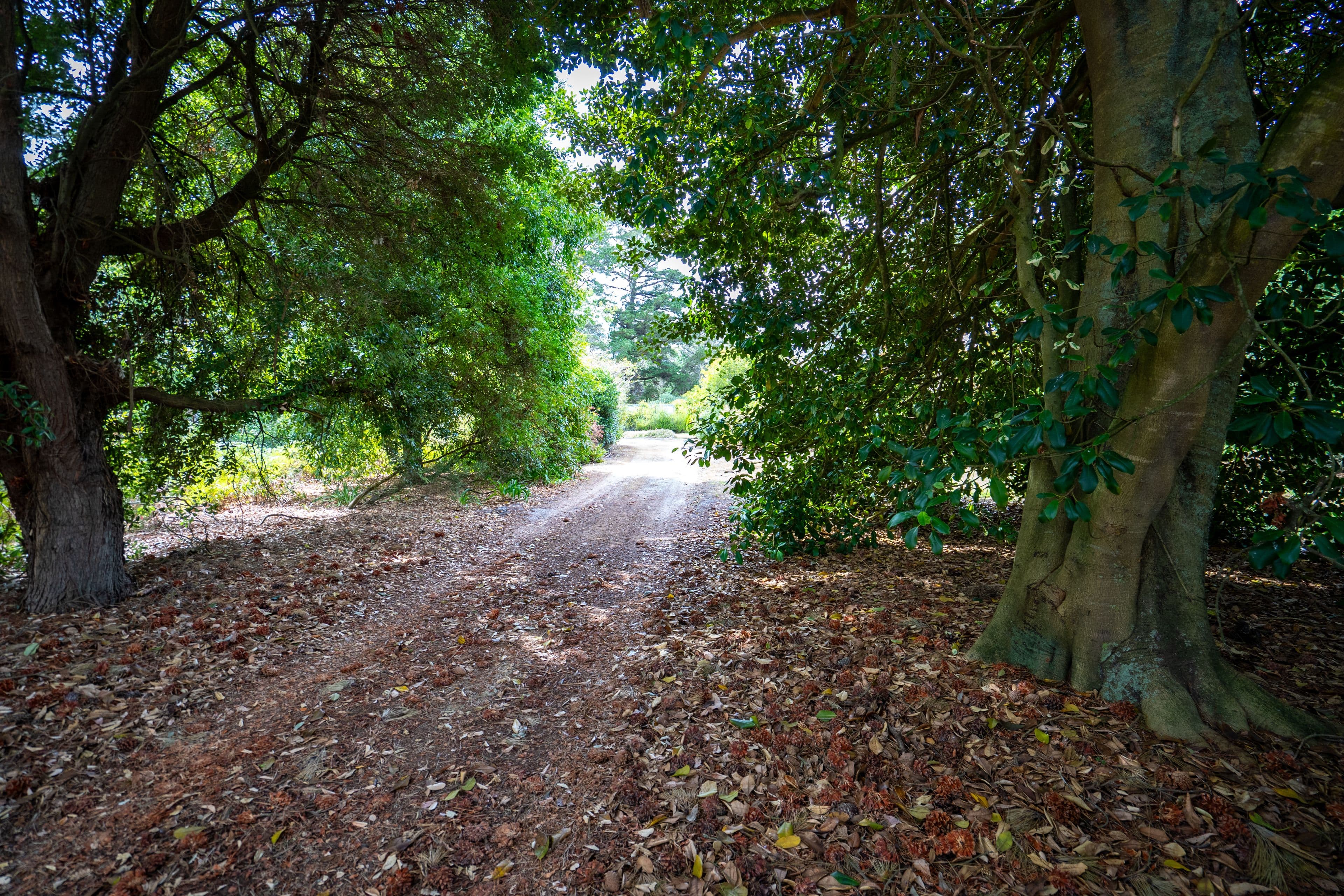123 Marbelup Road, Elleker WA 6330, Elleker - Thumbnail 5