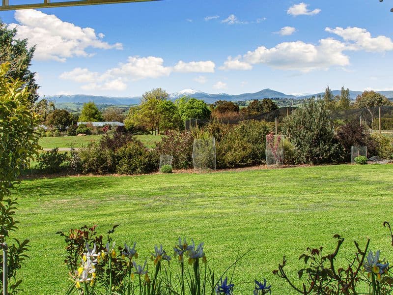 41 Ogilvies Road, Mansfield VIC 3722, Mansfield - Thumbnail 4