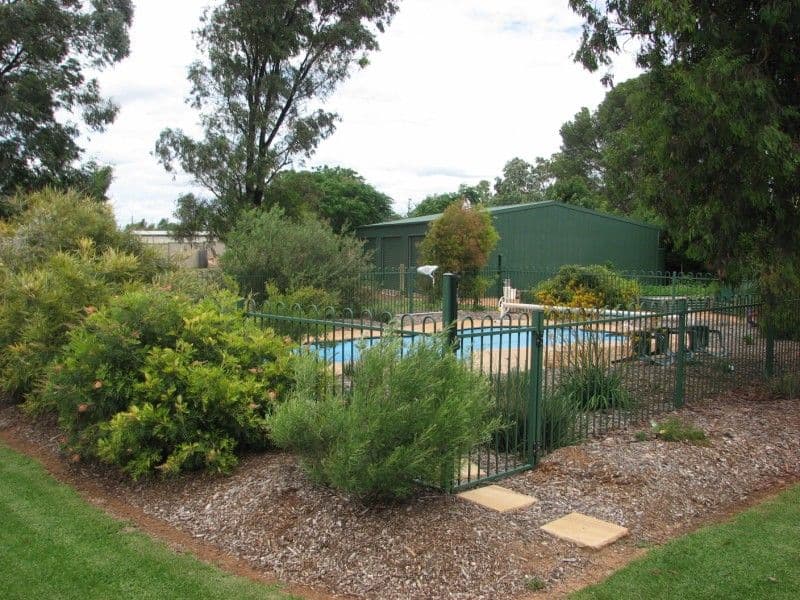 113B Calarie Road, FORBES NSW 2871, Forbes - Thumbnail 2