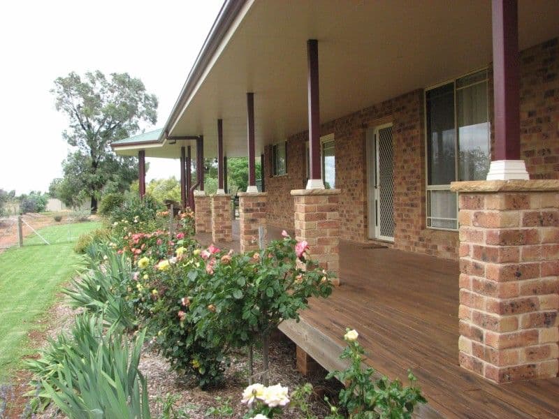 113B Calarie Road, FORBES NSW 2871, Forbes - Thumbnail 8