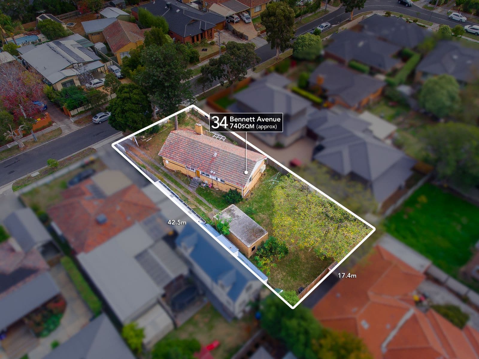 34 Bennett Avenue, Mount Waverley VIC 3149, Mount Waverley - Thumbnail 5