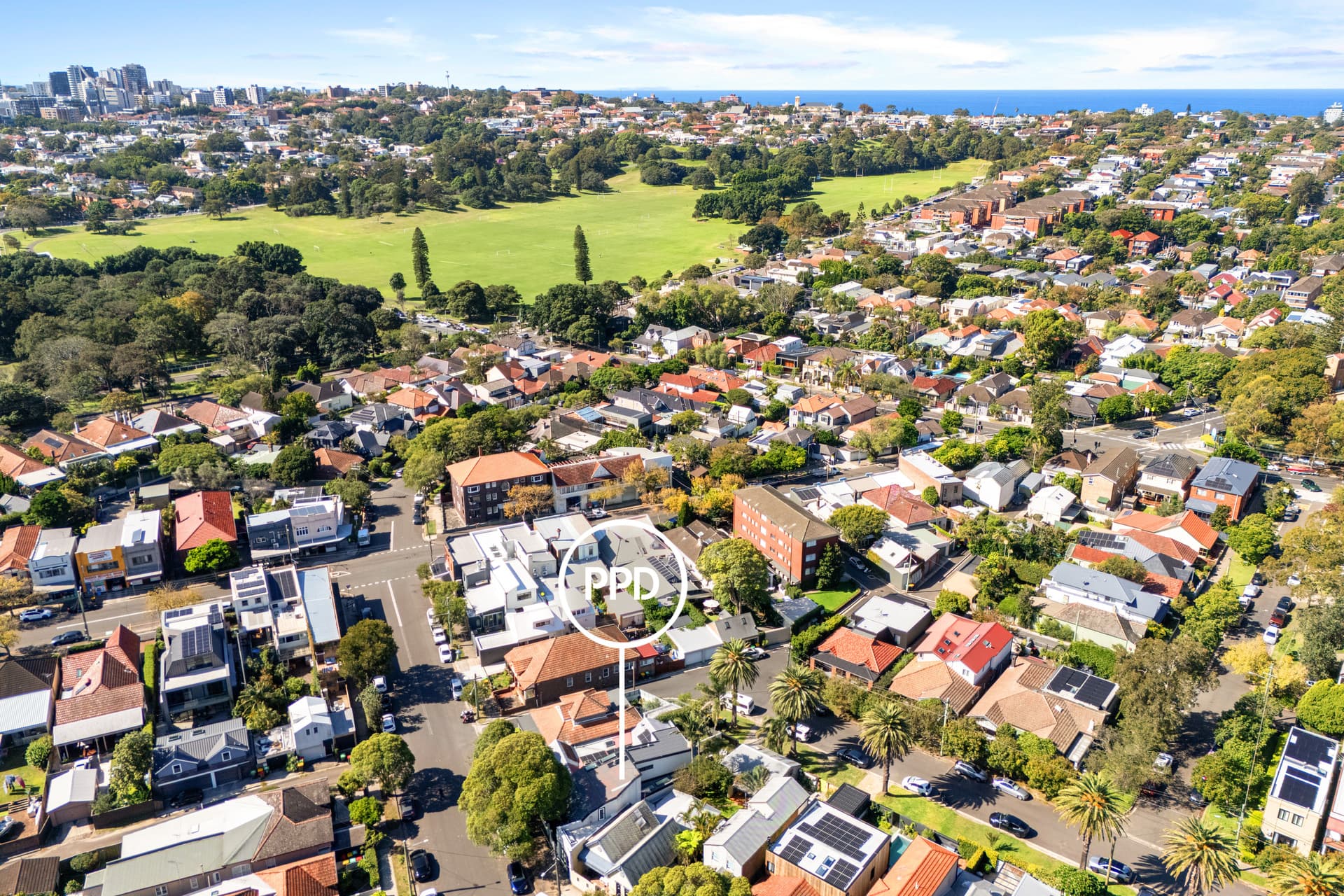 29 Earl Street, Randwick, Randwick - Thumbnail 6