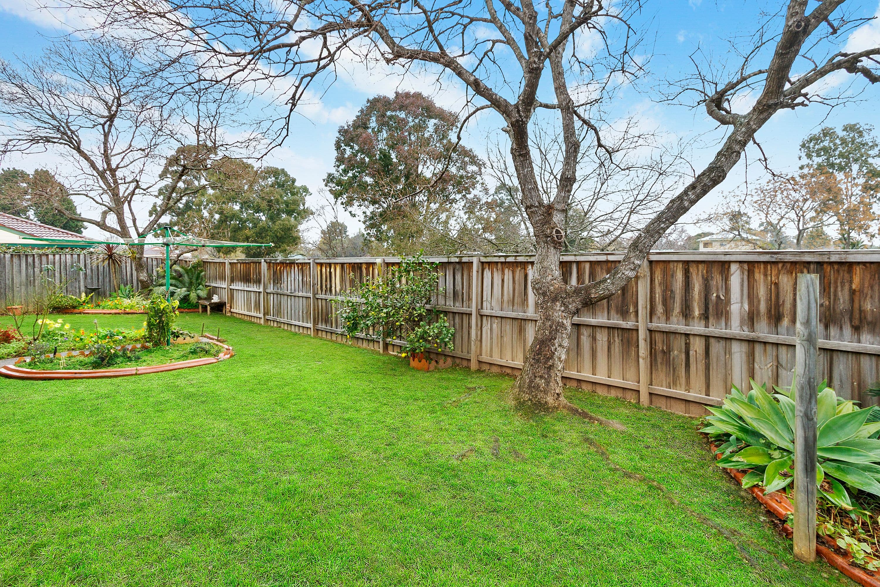41 John Tebbutt Place, Richmond NSW 2753, Richmond - Thumbnail 7