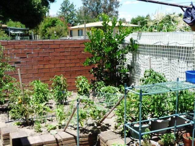 9 Park Street, CHILTERN VIC 3683, Chiltern - Thumbnail 4