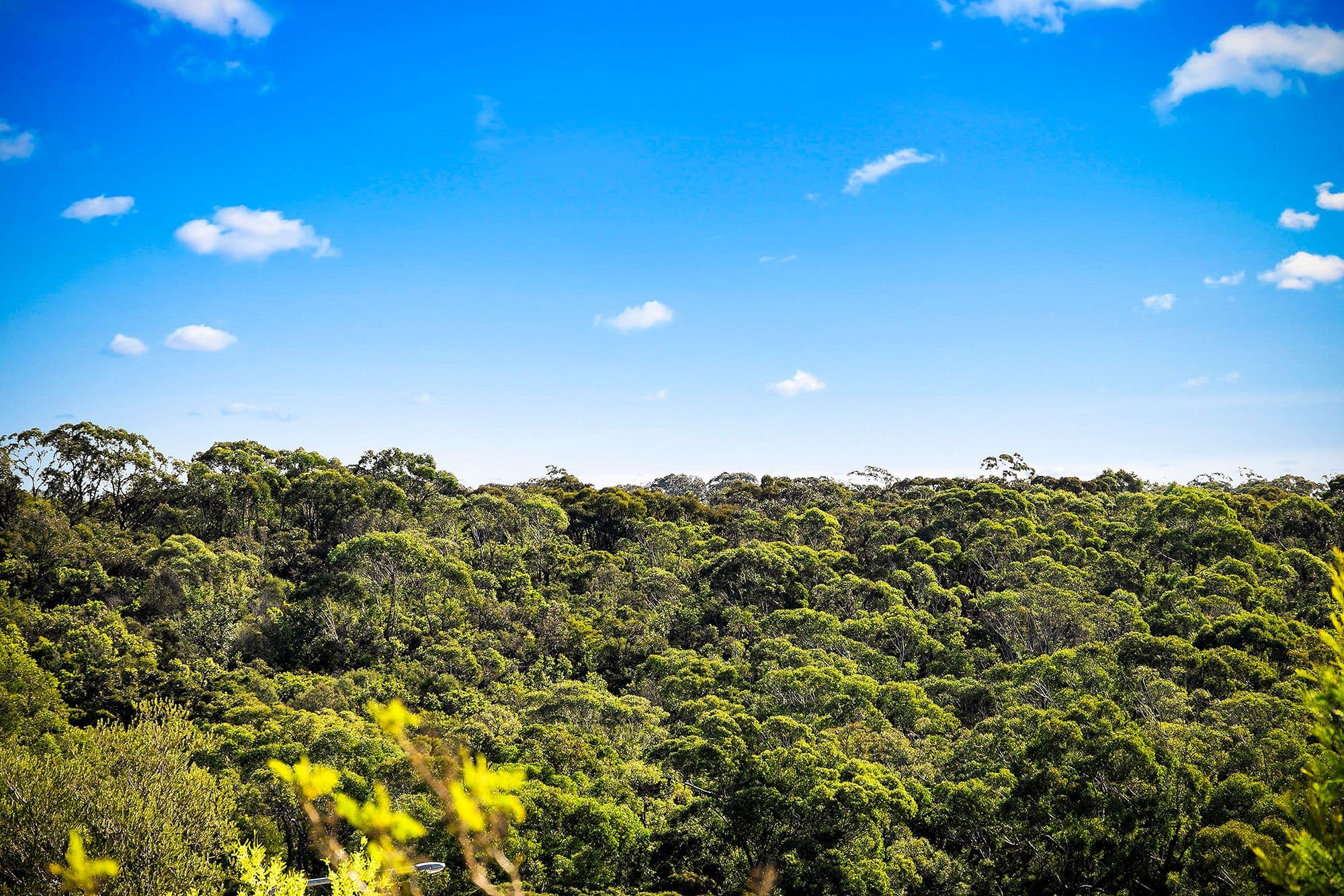 9 Heath Road, NORTH KELLYVILLE NSW 2155, North Kellyville - Thumbnail 3