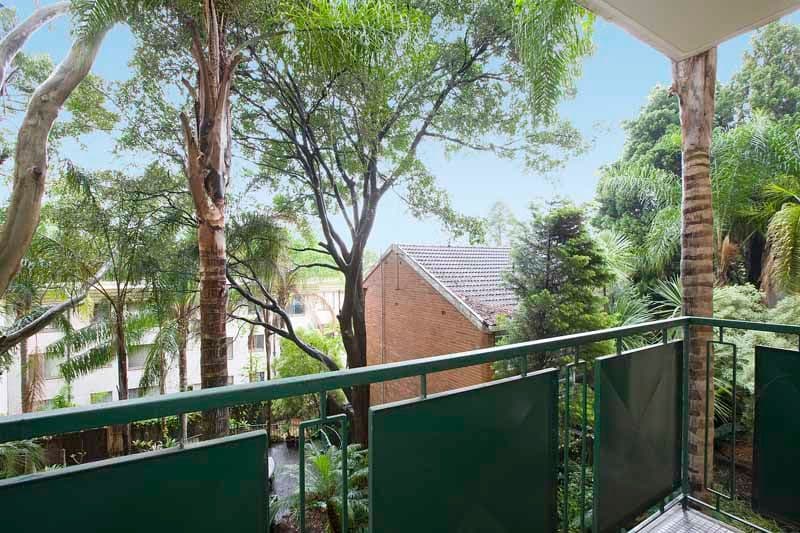 446 Pacific Highway, LANE COVE NSW 2066, Lane Cove North - Thumbnail 3