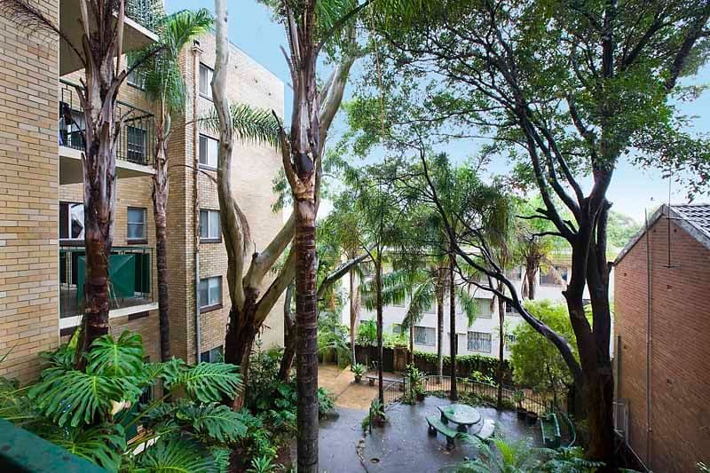 446 Pacific Highway, LANE COVE NSW 2066, Lane Cove North - Thumbnail 4