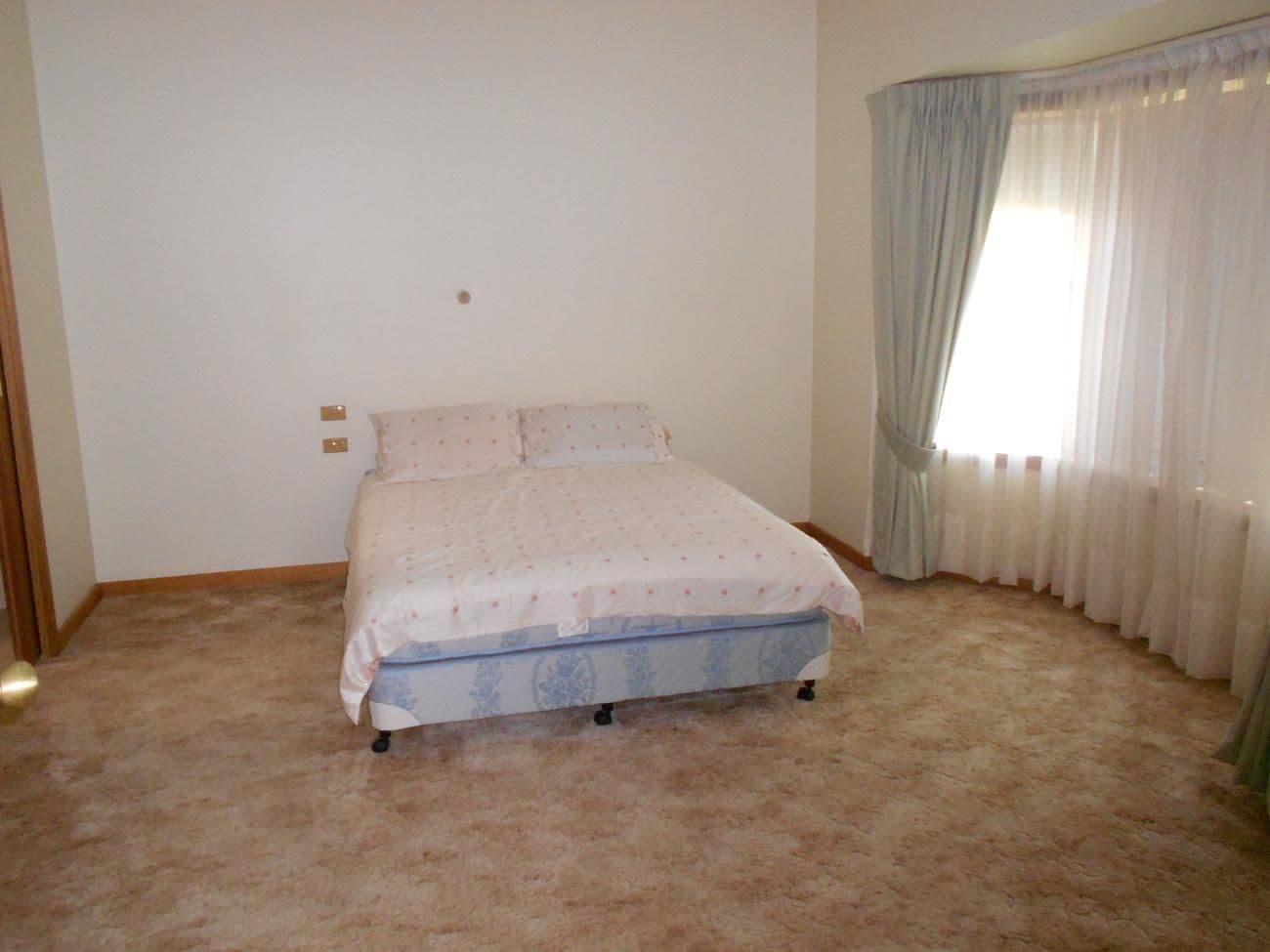 37 DeCourcey Street, Bordertown SA 5268, Bordertown - Thumbnail 6