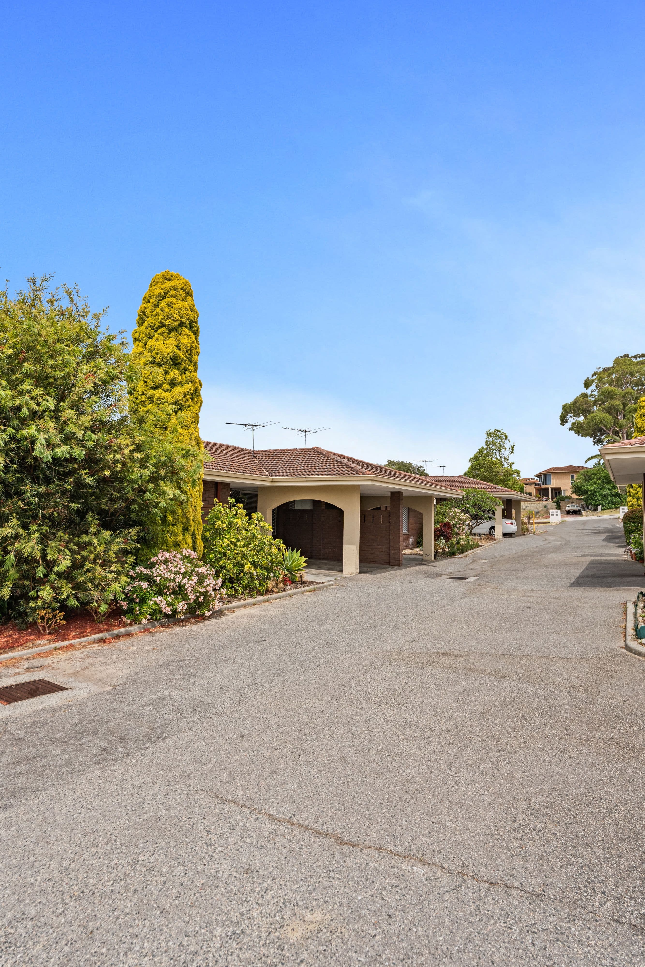 66 Banksia Street, Joondanna WA 6060, Joondanna - Thumbnail 5
