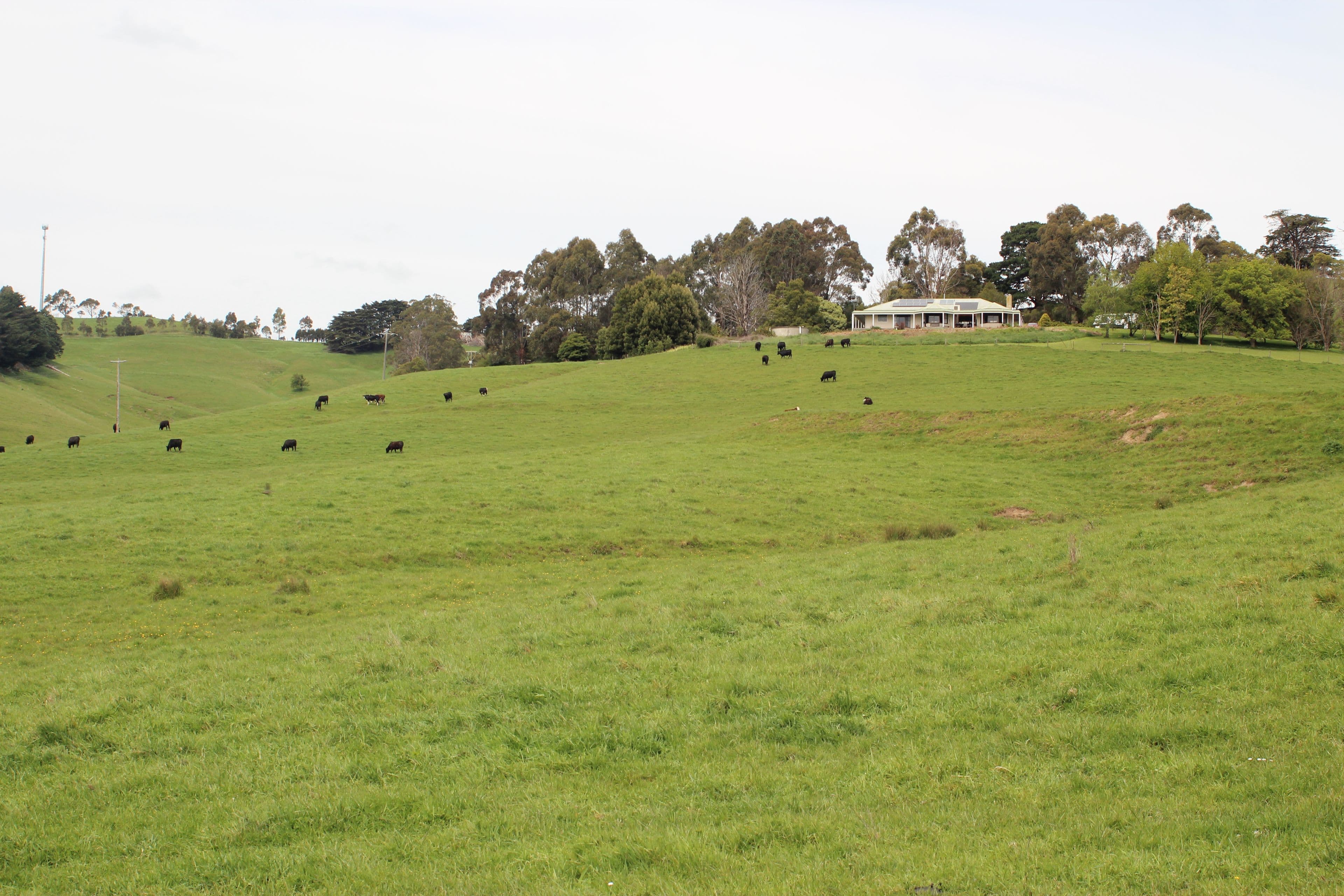 25 Smith Street, Loch VIC 3945, Loch - Thumbnail 5