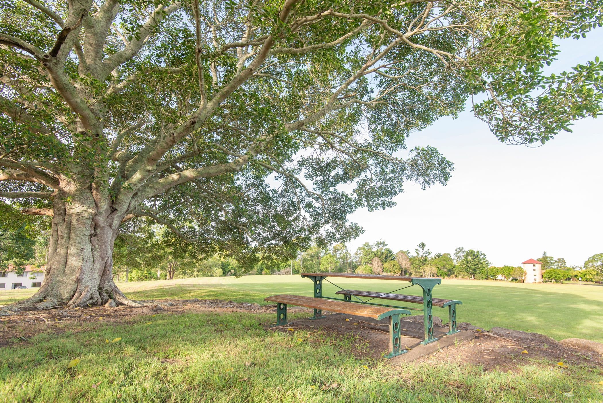 Lot 615 Grey Gum Close, Caniaba NSW 2480, Caniaba - Thumbnail 7