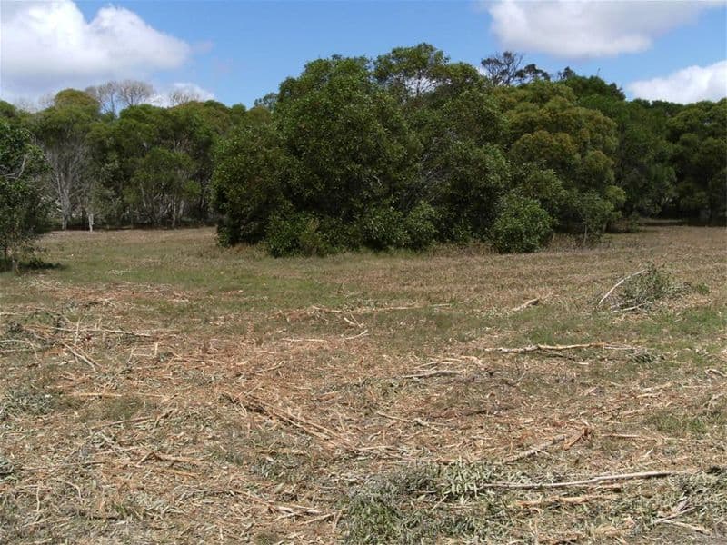 82  Wheeley Road, BOORAL QLD 4655, Booral - Thumbnail 3