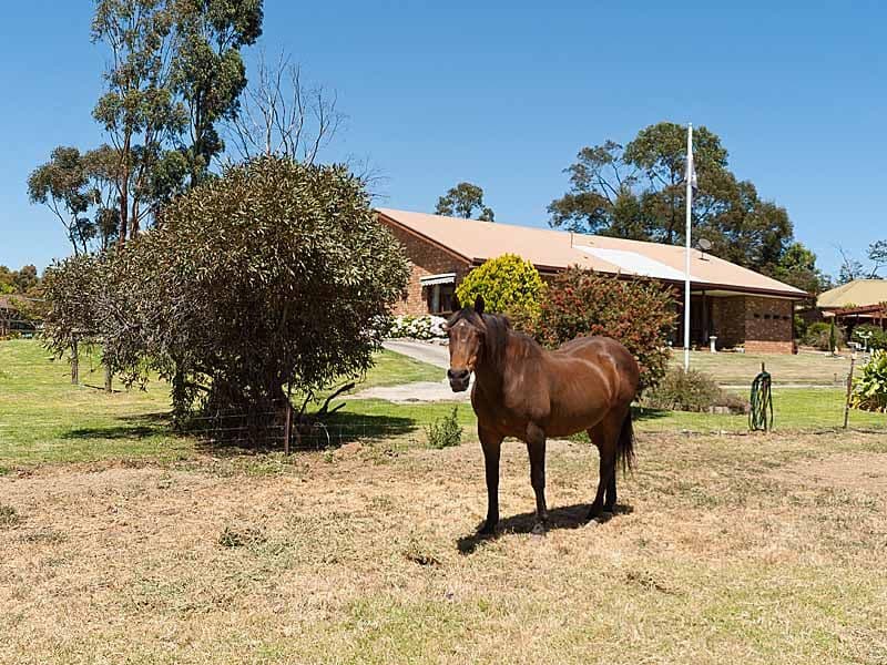 23 Summit Road, NAIRNE SA 5252, Nairne - Thumbnail 2