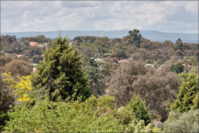 336 Beales Road, Greensborough VIC 3088, Greensborough - Thumbnail 5