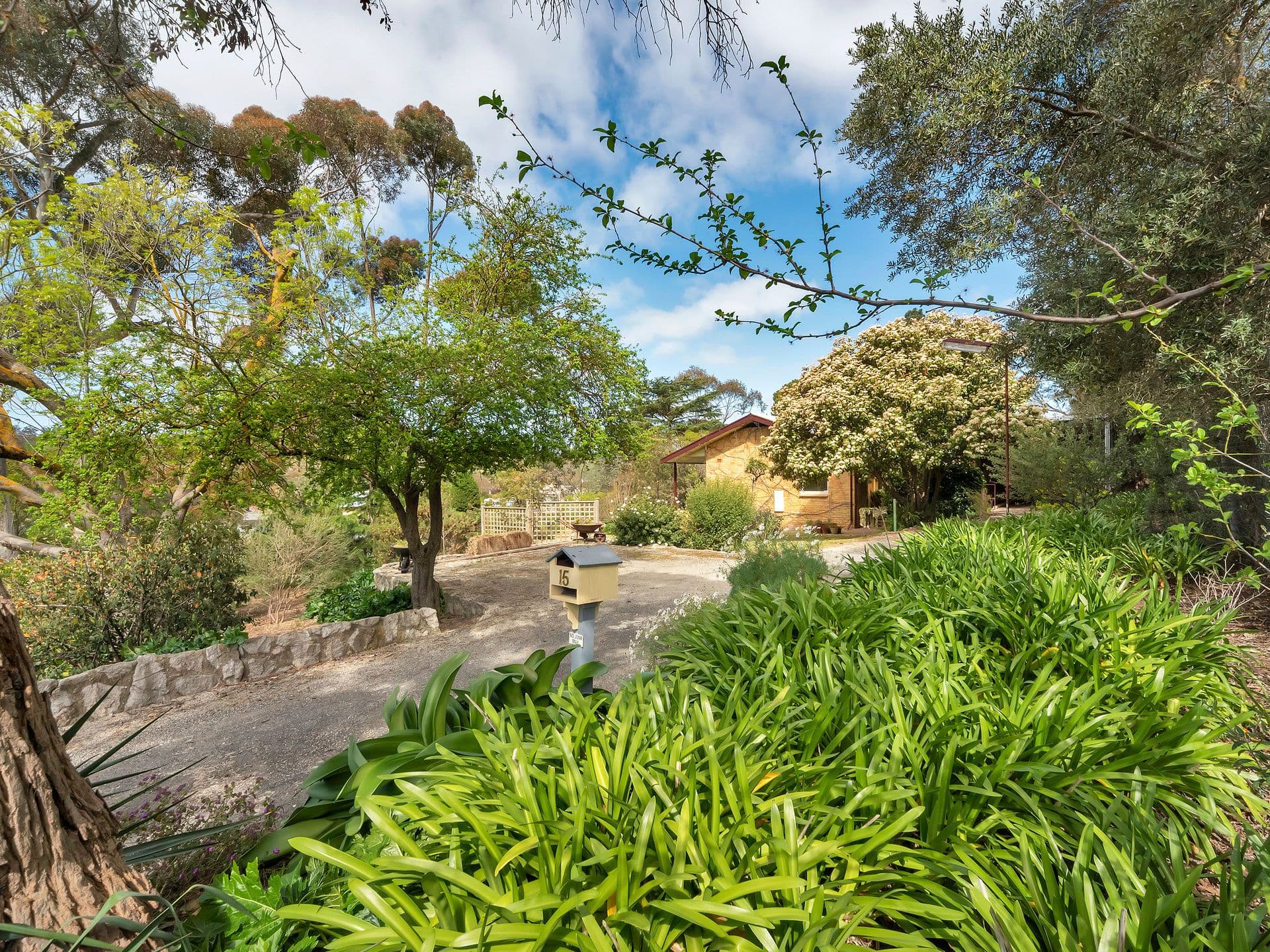 15 Dean Street, Angaston SA 5353, Angaston - Image 1