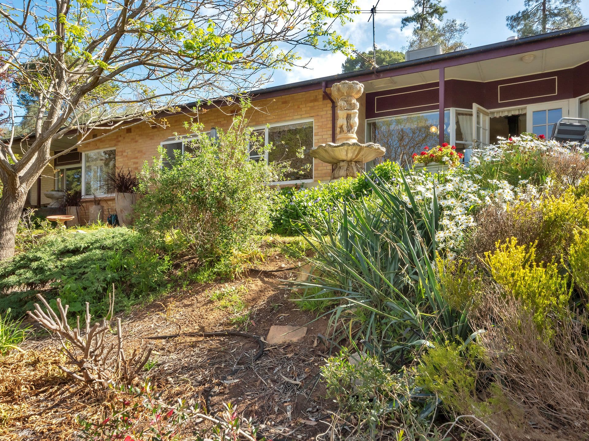 15 Dean Street, Angaston SA 5353, Angaston - Thumbnail 4