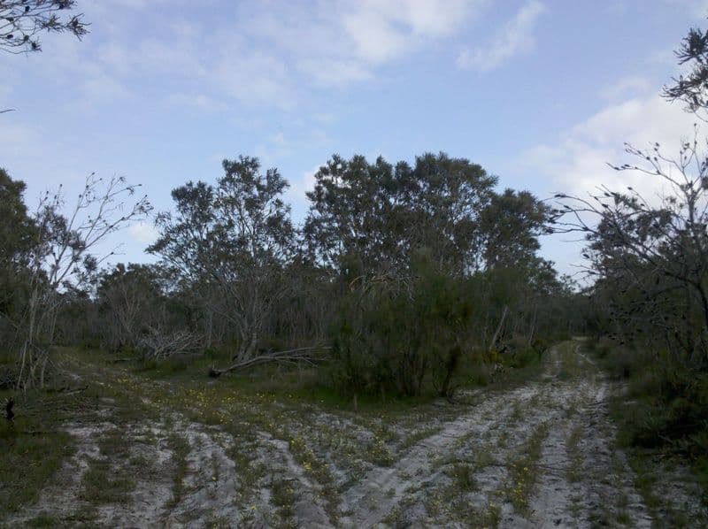 2750 Wanerie, WANERIE WA 6503, Wanerie - Thumbnail 3