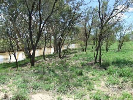 537 Landsborough Highway, TAMBO QLD 4478, Tambo - Thumbnail 8