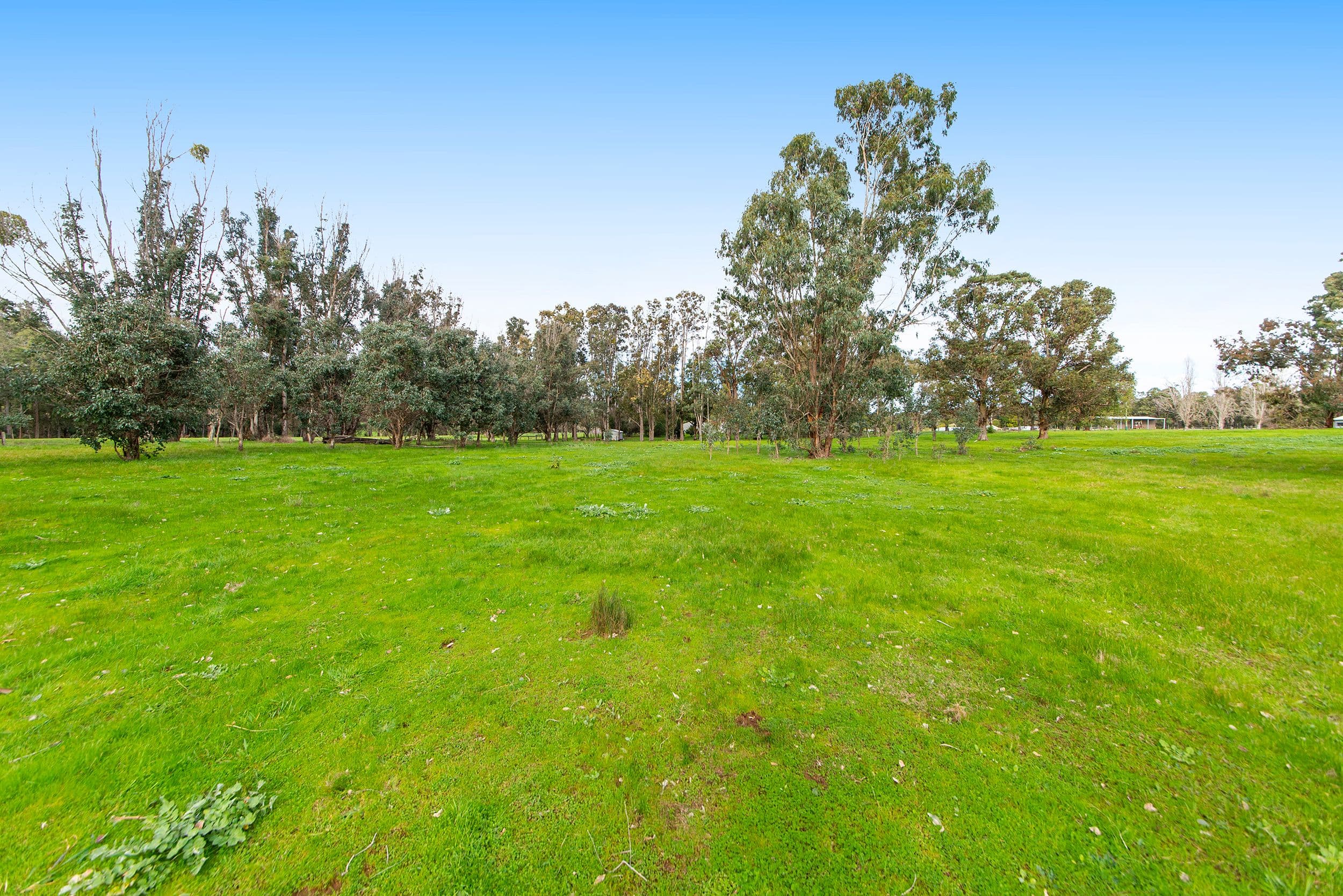 5981 Vasse Highway, Nannup WA 6275, Nannup - Thumbnail 3