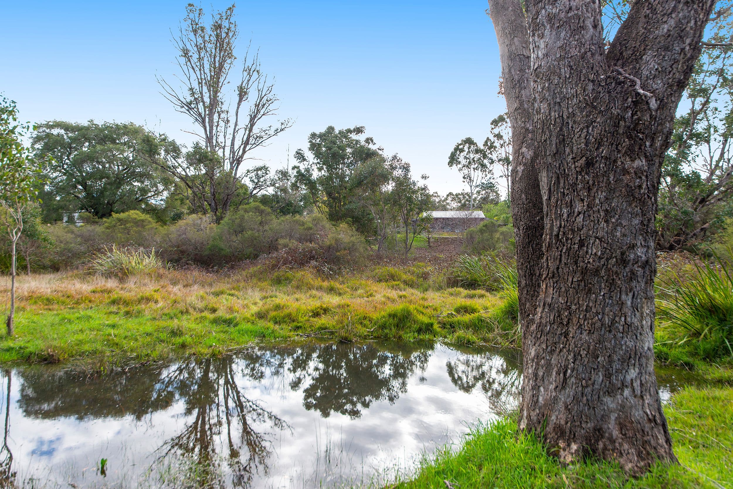 5981 Vasse Highway, Nannup WA 6275, Nannup - Thumbnail 4