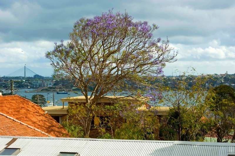 85 Bay Road, WAVERTON NSW 2060, Waverton - Thumbnail 2