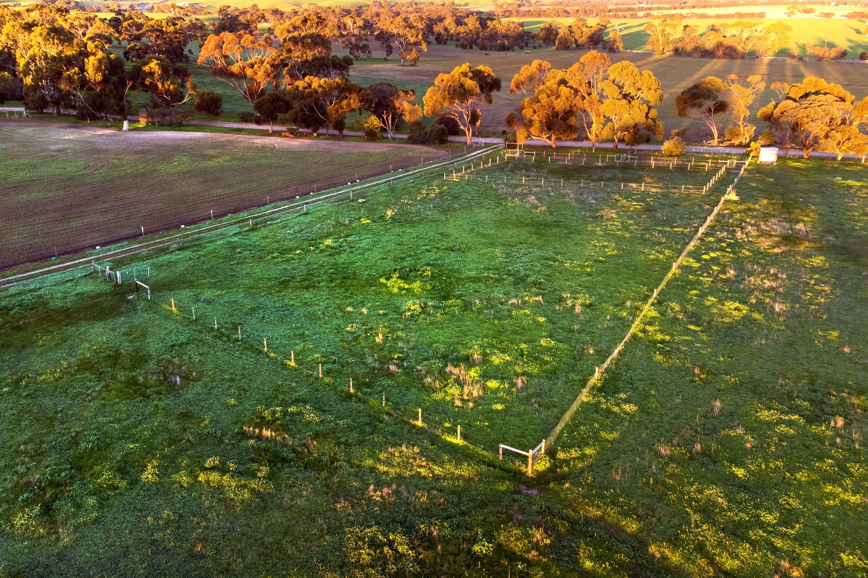 59 Candys Road, Finniss SA 5255, Finniss - Thumbnail 2