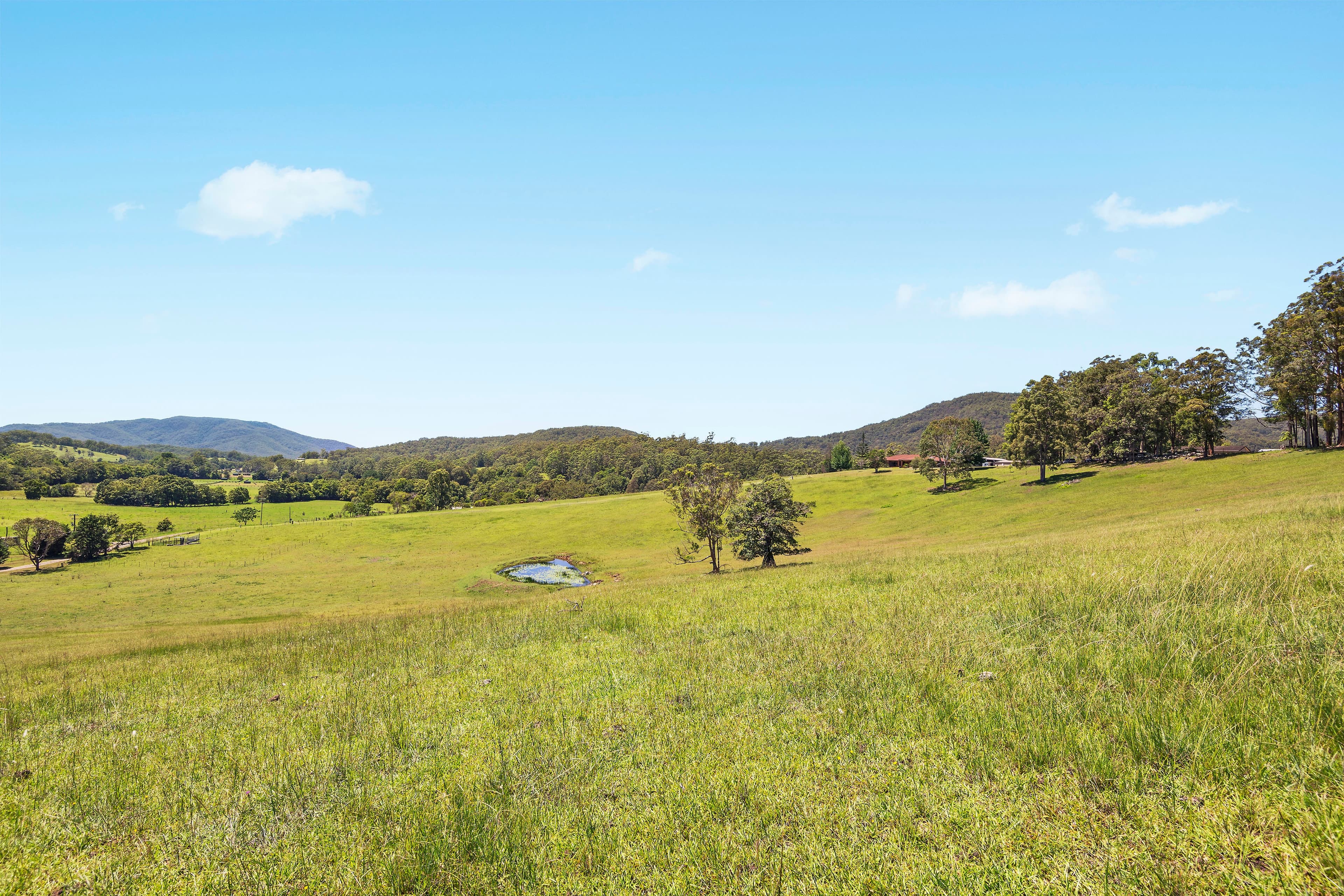 39 Cedar Loggers Lane, Batar Creek, Batar Creek - Thumbnail 8