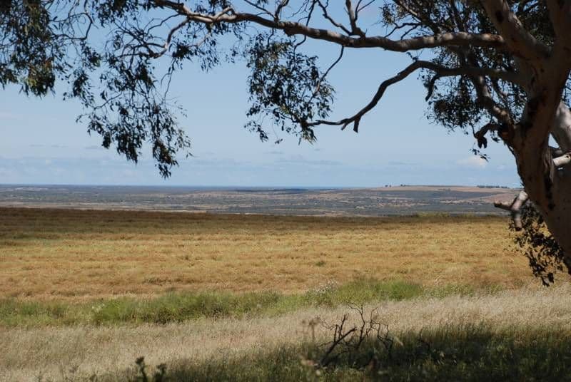 Lot 2 Fred Weston Road, NAMBUNG WA 6521, Nambung - Thumbnail 6