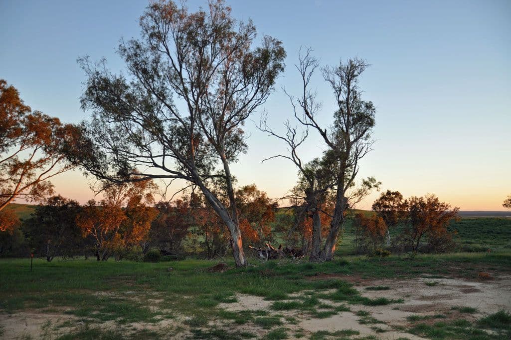 Lot 2 Fred Weston Road, NAMBUNG WA 6521, Nambung - Thumbnail 8