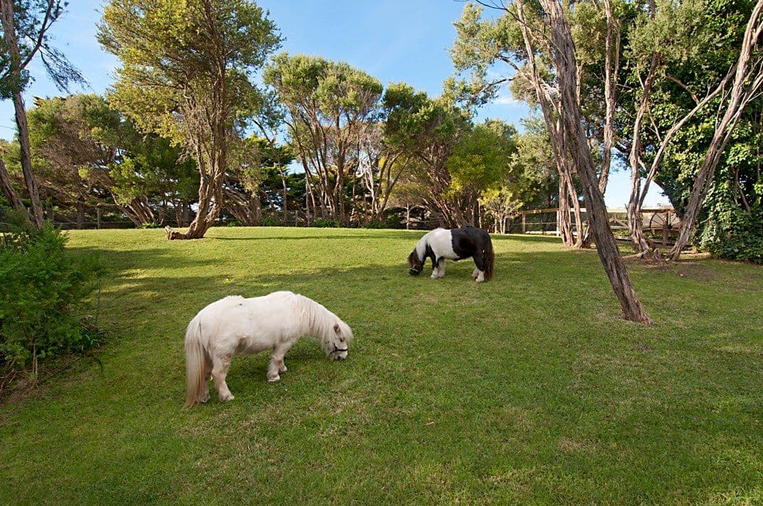 267 Dundas Street, RYE VIC 3941, Rye - Thumbnail 3
