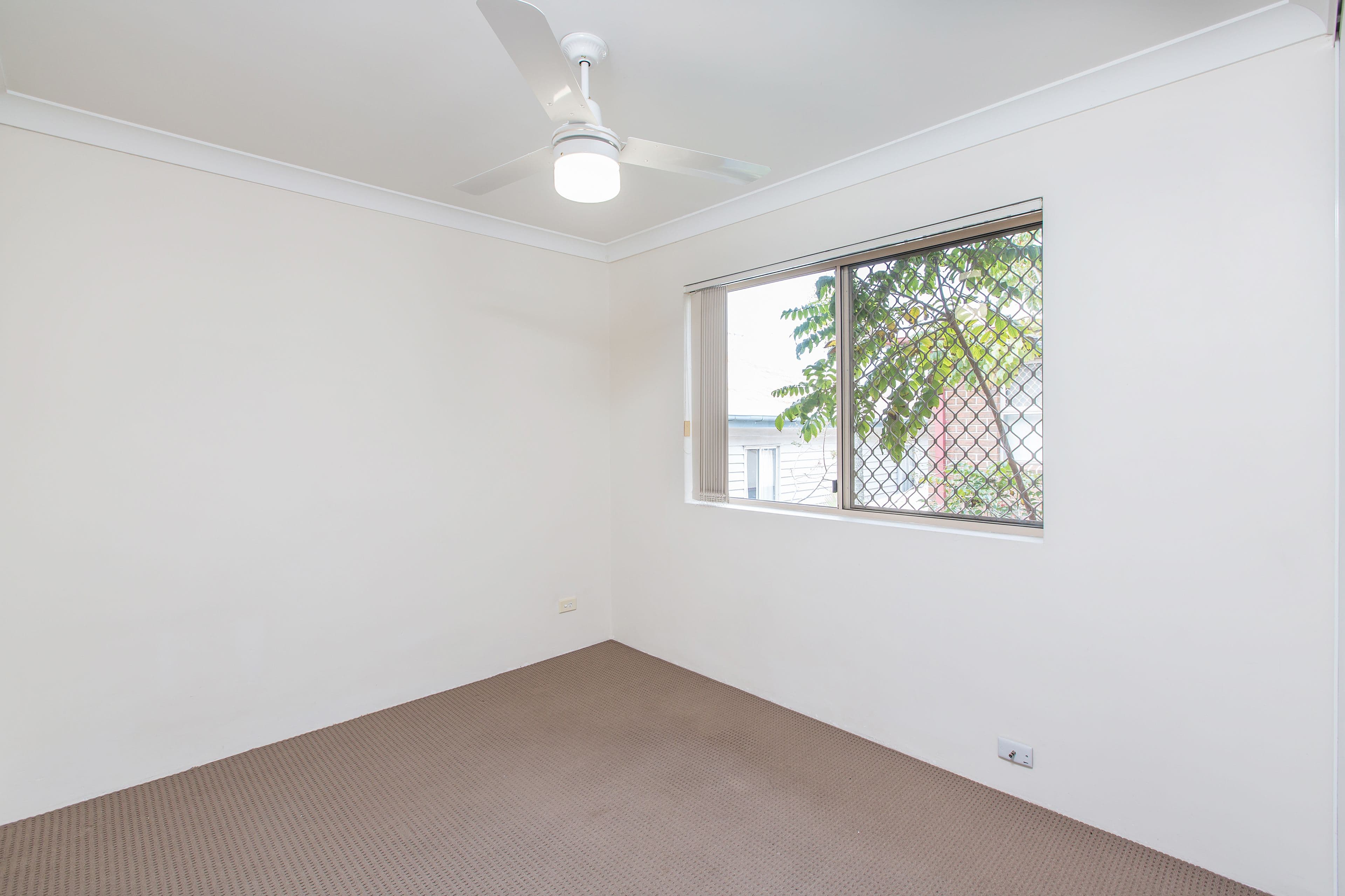 14 Halcomb Street, Zillmere QLD 4034, Zillmere - Thumbnail 5