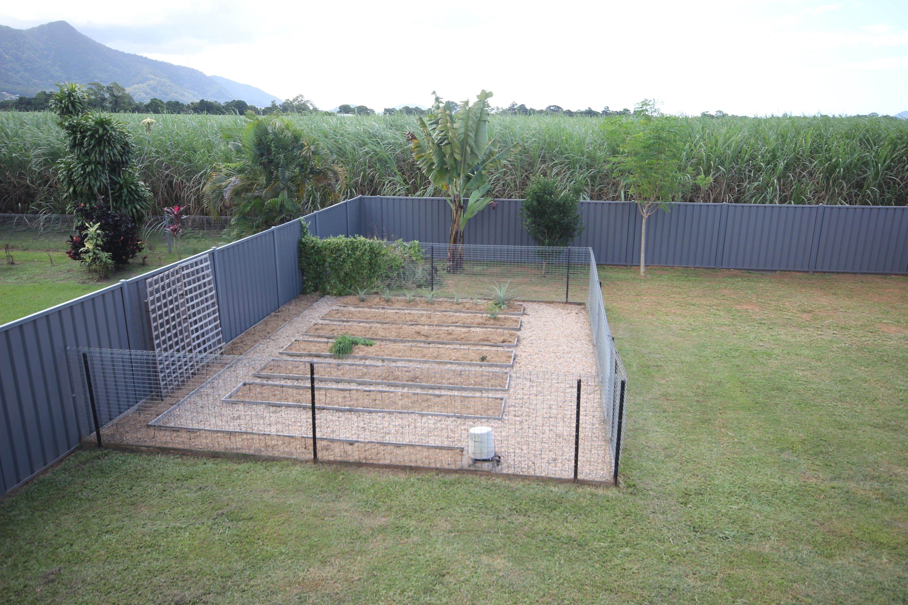 62 Thomson Road, Edmonton QLD 4869, Edmonton - Thumbnail 3