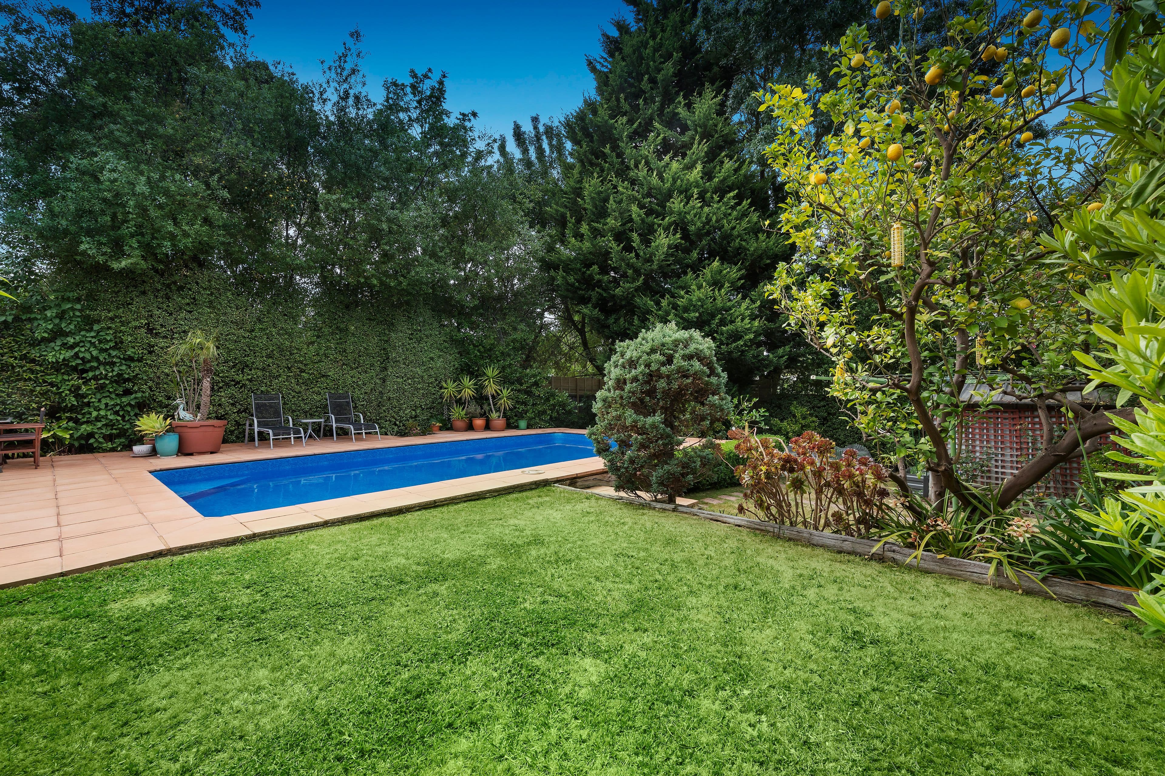 39 Wungan Street, Macleod VIC 3085, Macleod - Thumbnail 6