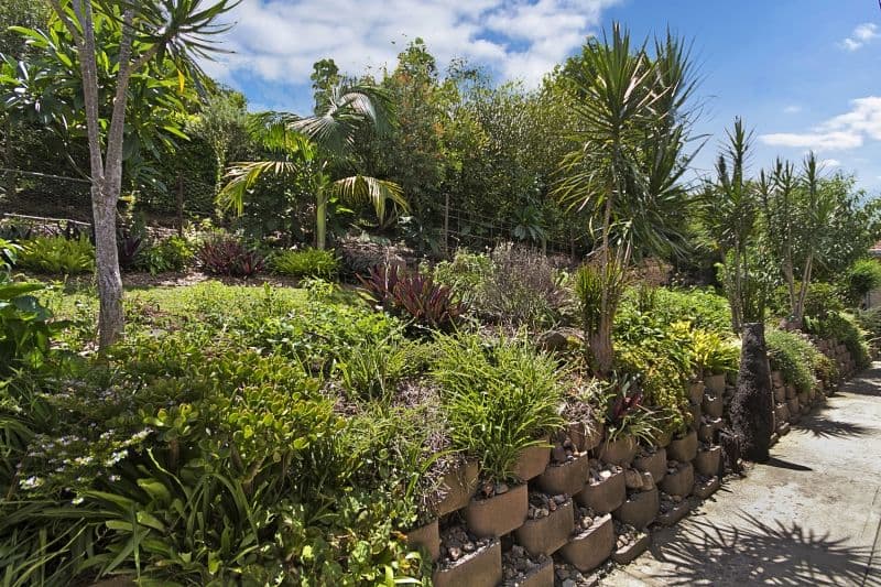 13 Warana Avenue, Murwillumbah NSW 2484, Murwillumbah - Thumbnail 4
