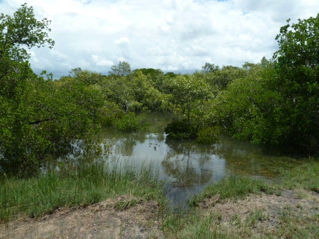1 Goldston Street, NORTH MACKAY QLD 4740, North Mackay - Thumbnail 7