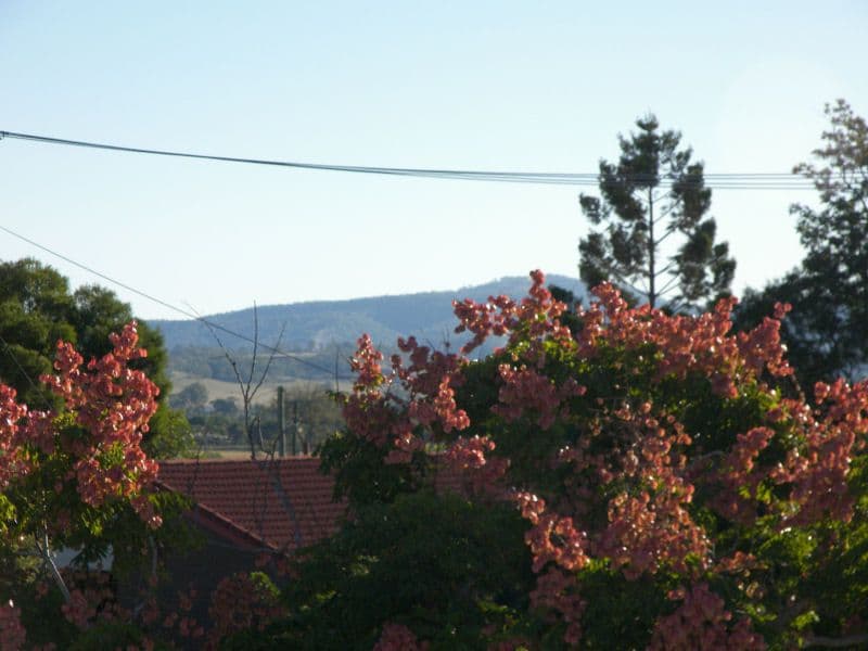 13 Dunsinane Street, BEAUDESERT QLD 4285, Beaudesert - Thumbnail 4