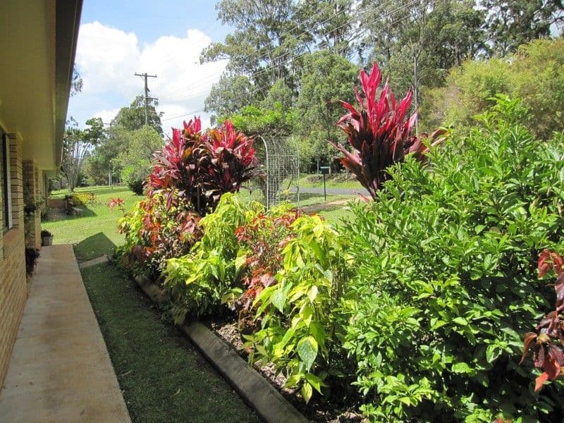 121 Rous Road, GOONELLABAH NSW 2480, Goonellabah - Thumbnail 4